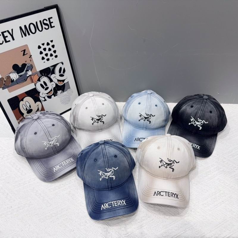 Arcteryx Cap 012501